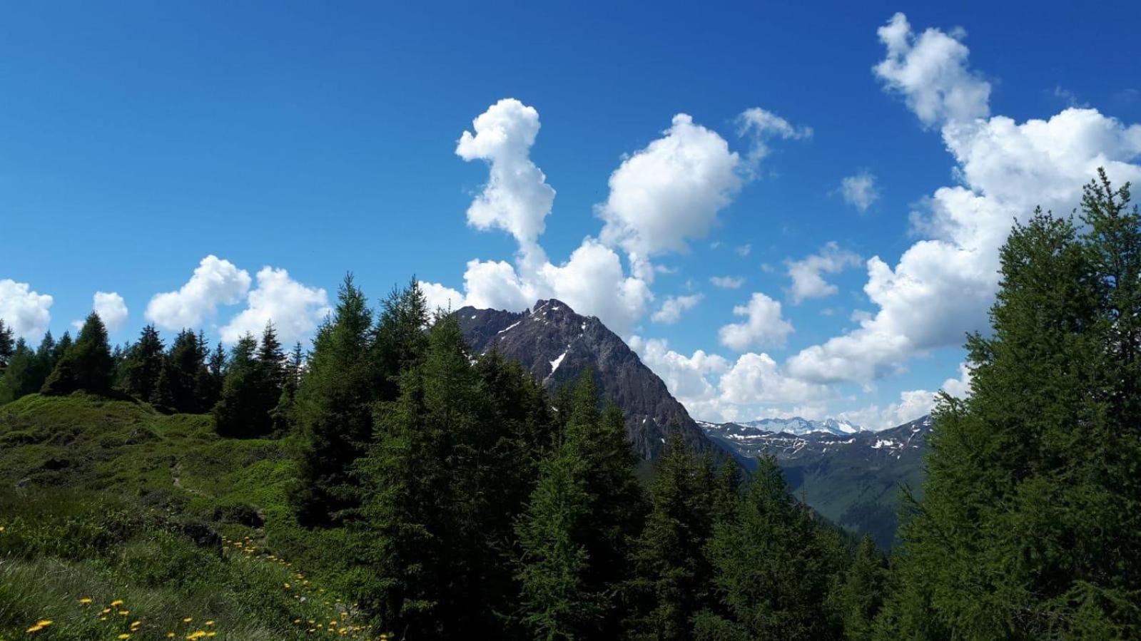 Ferienhaus Willms Am Gaisberg Kirchberg in Tirol Exteriör bild