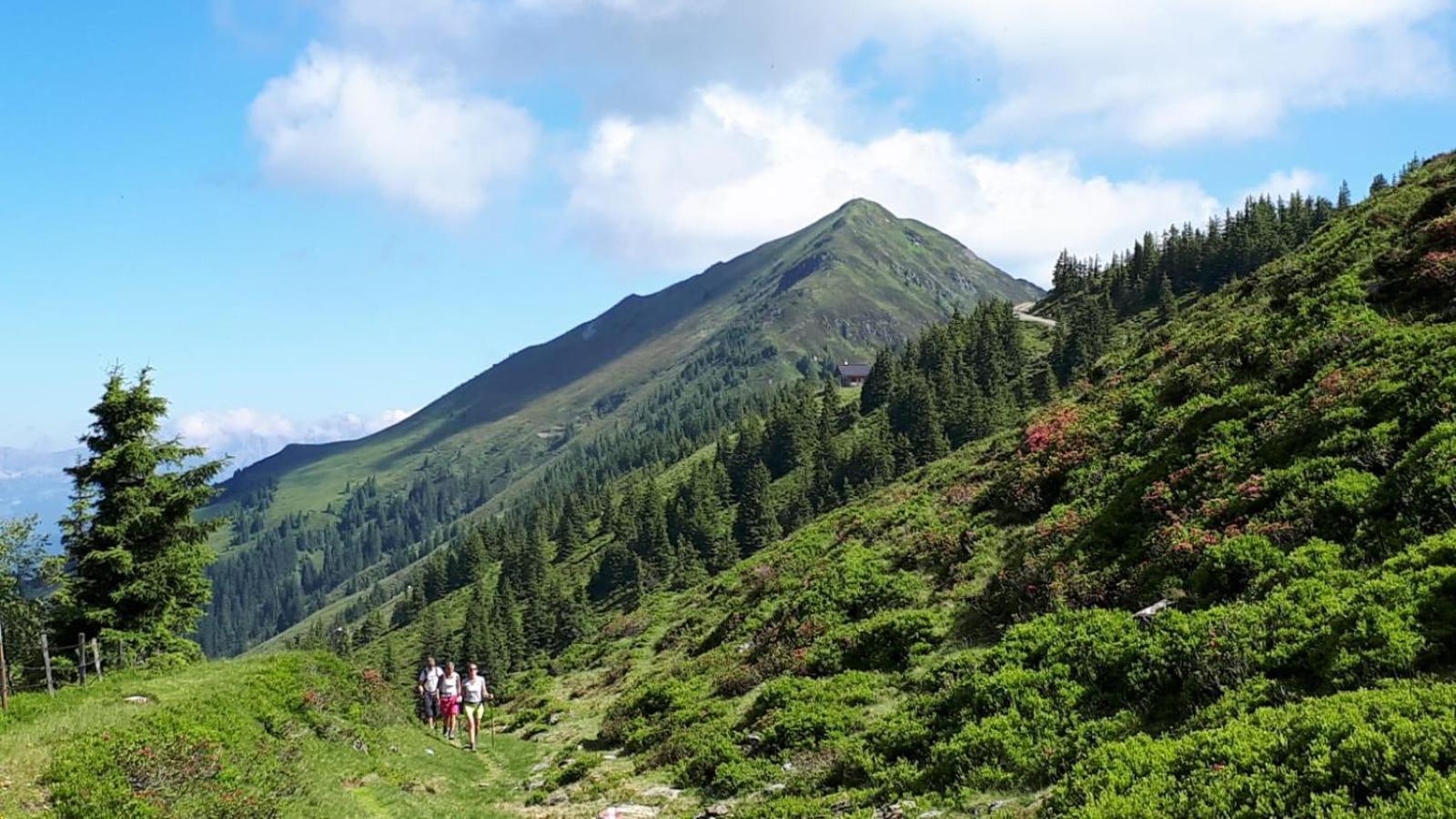 Ferienhaus Willms Am Gaisberg Kirchberg in Tirol Exteriör bild